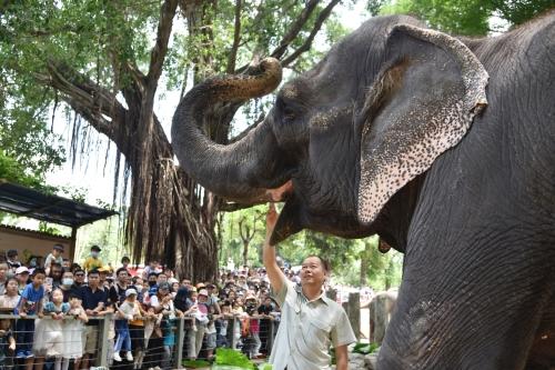 五一假期首日，深圳野生動物園動物科普講解吸引游客