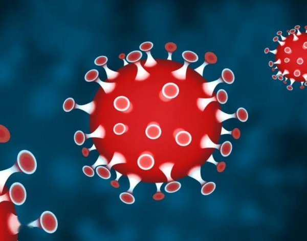 深圳科普月系列活動：公益科普行丨見證科普成果，對話基因，探索生命