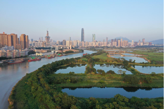 有一種幸福叫“水清岸綠”！福田努力做好城區(qū)發(fā)展“水文章”！