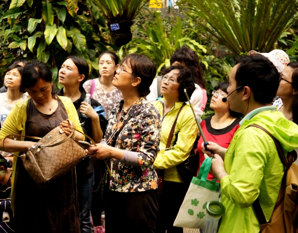 寶安新增兩家市級自然學校 面向市民免費開放，自然教育課程需預約